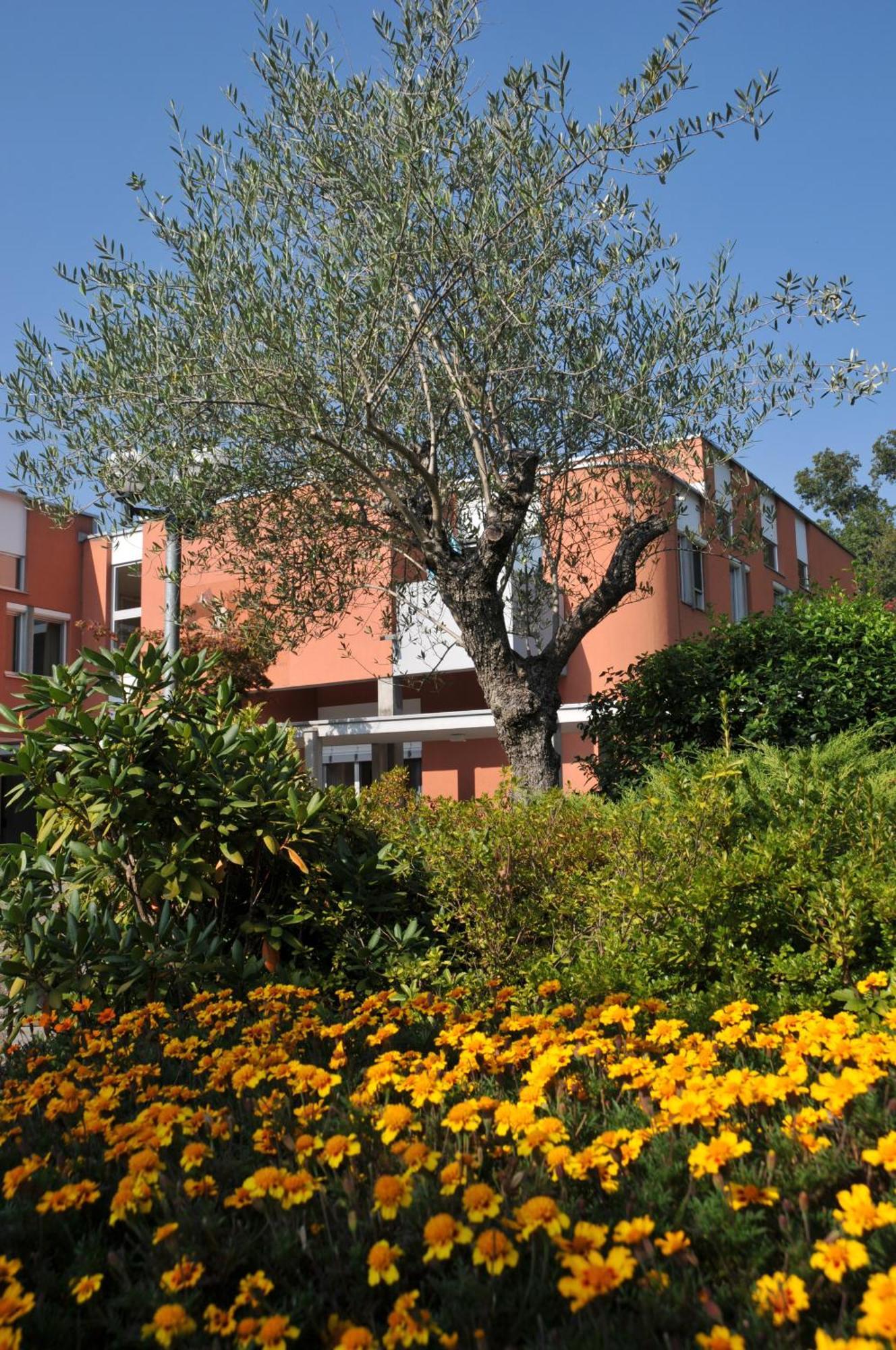 Centro Magliaso Hotel Ngoại thất bức ảnh
